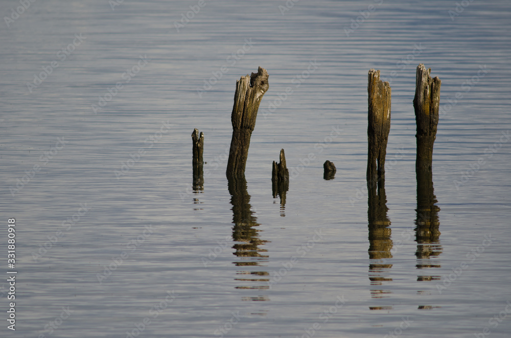 Wooden poles in the coast of Puerto Natales. Wooden poles in the coast of Puerto Natales.