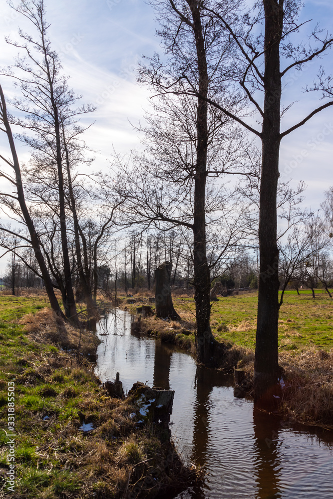 Wiosna na Podlasiu. Dolina Górnej Narwi. Piękne Podlasie, Polska Wiosna na Podlasiu. Dolina Górnej Narwi. Piękne Podlasie, Polska
