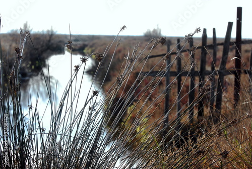  ETANG DE L OR à Mauguio