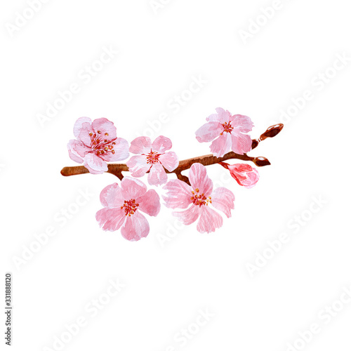 Watercolor background drawing with branches and cherry blossoms