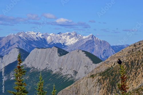 Sulphur skyline trail. Beautiful high mountains covered with snow  green forrest  white clouds  blue sky. National Park Jasper  Canada.