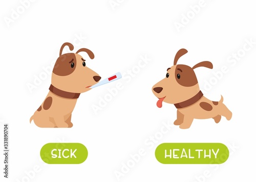 Sad puppy sitting with thermometer and playful puppy running flat illustration with typography. Healthy and sick antonyms flashcard vector template. Word card for english language learning 