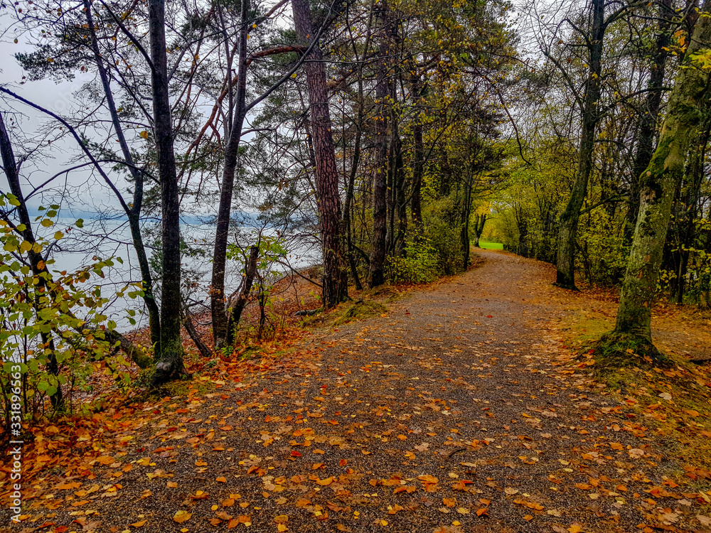 Obraz premium Walking with nature and animals