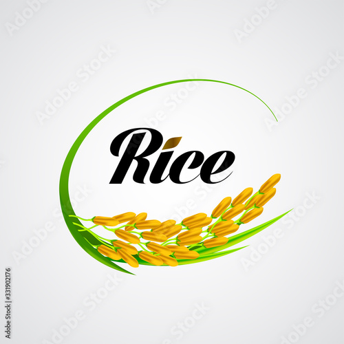 Premium Rice great quality design concept  vector.