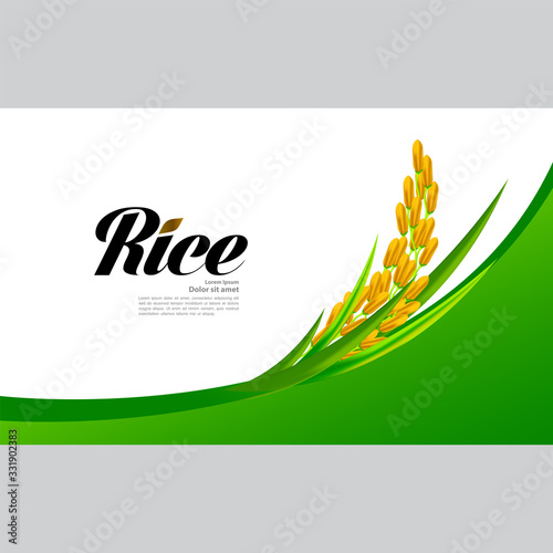 Premium Rice great quality design concept  vector.