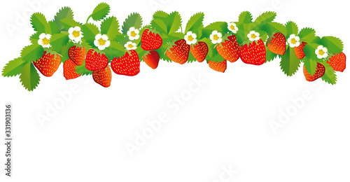 Erdbeeren in einer Reihe – Vektor Illustration