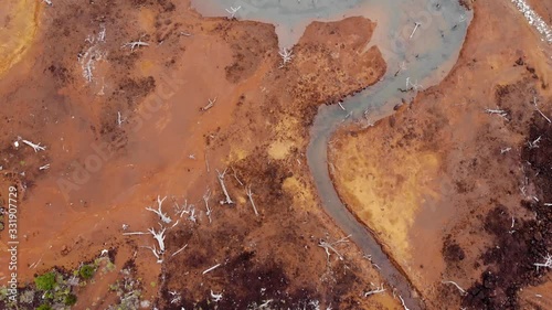 Wallpaper Mural Red soil with reflections in Blue River Provincial Park in New Caledonia. Torontodigital.ca
