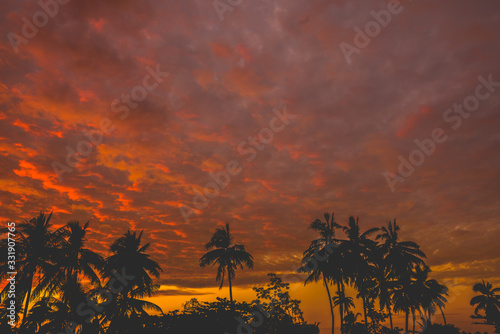 Fantastic silhouette coconut tree and sunset sky background