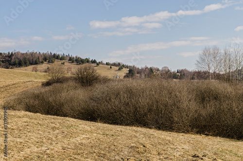 Fototapeta Naklejka Na Ścianę i Meble -  bieszczady panoram łąk