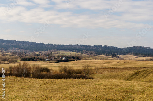 Fototapeta Naklejka Na Ścianę i Meble -  bieszczady panoram łąk