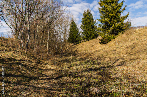 Fototapeta Naklejka Na Ścianę i Meble -  krajobraz bieszczady 
