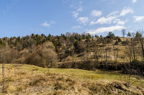 Fototapeta Naklejka Na Ścianę i Meble -  krajobraz bieszczady 