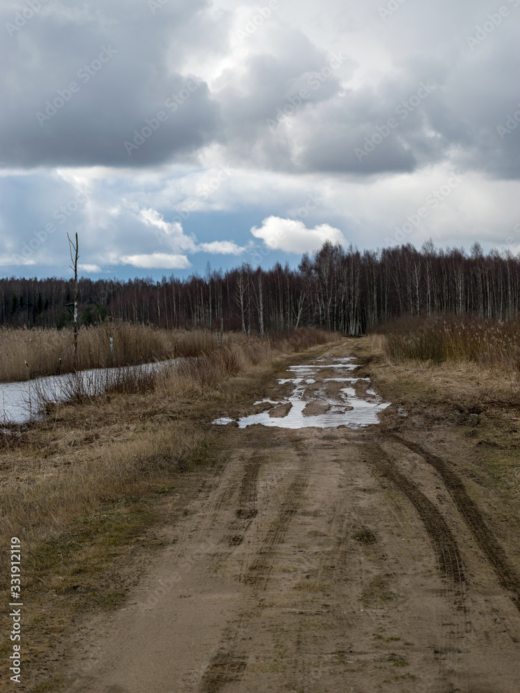 a dirt road in the early spring