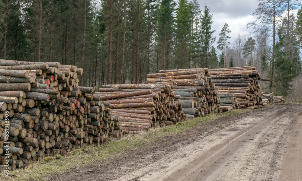 A stack of wooden logs piled on the side of the road