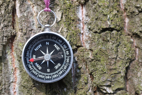 Old iron compass on tree in forest. Blurred background for inscription.