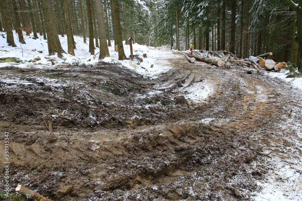 Tourist trail destroyed while skidding of wood, Masyw Snieznika, Sudety, Poland