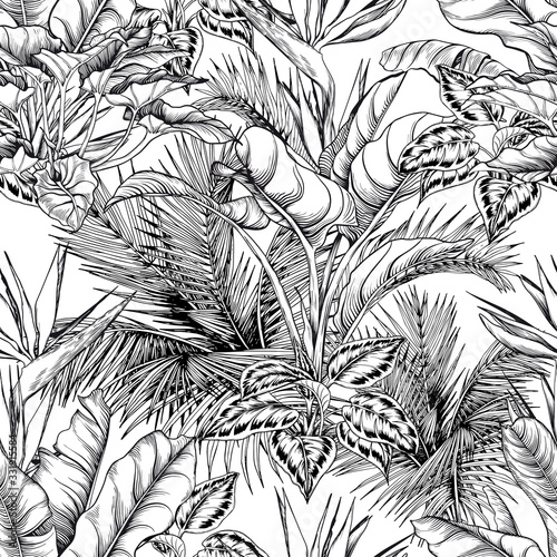 Seamless tropical pattern with black and white sketchy palm leaves.