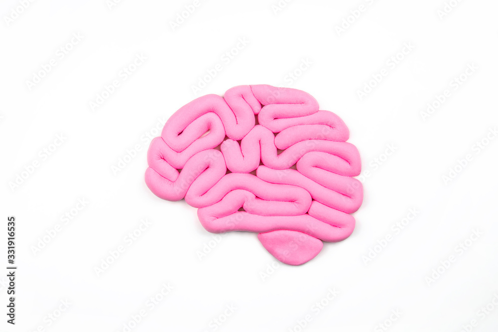 Model of pink human brain on white background. Profile view, flat lay. Intelligence concept.