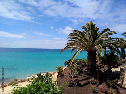 Beautiful coastline with turqouise sea and a palm