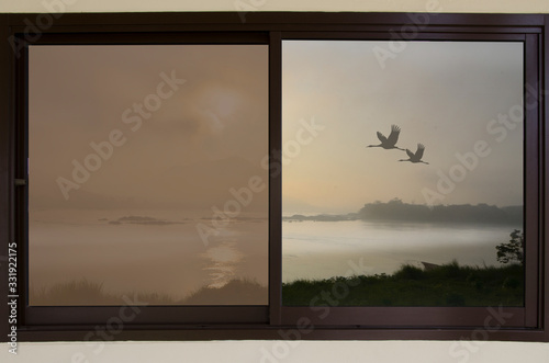 Flying cranes in morning fog through window view of house