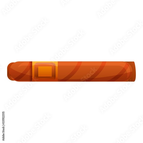 Mexican cigar icon. Cartoon of mexican cigar vector icon for web design isolated on white background
