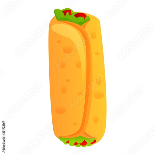Mexican burrito icon. Cartoon of mexican burrito vector icon for web design isolated on white background
