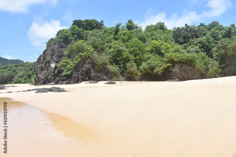 Fototapeta premium f noronha