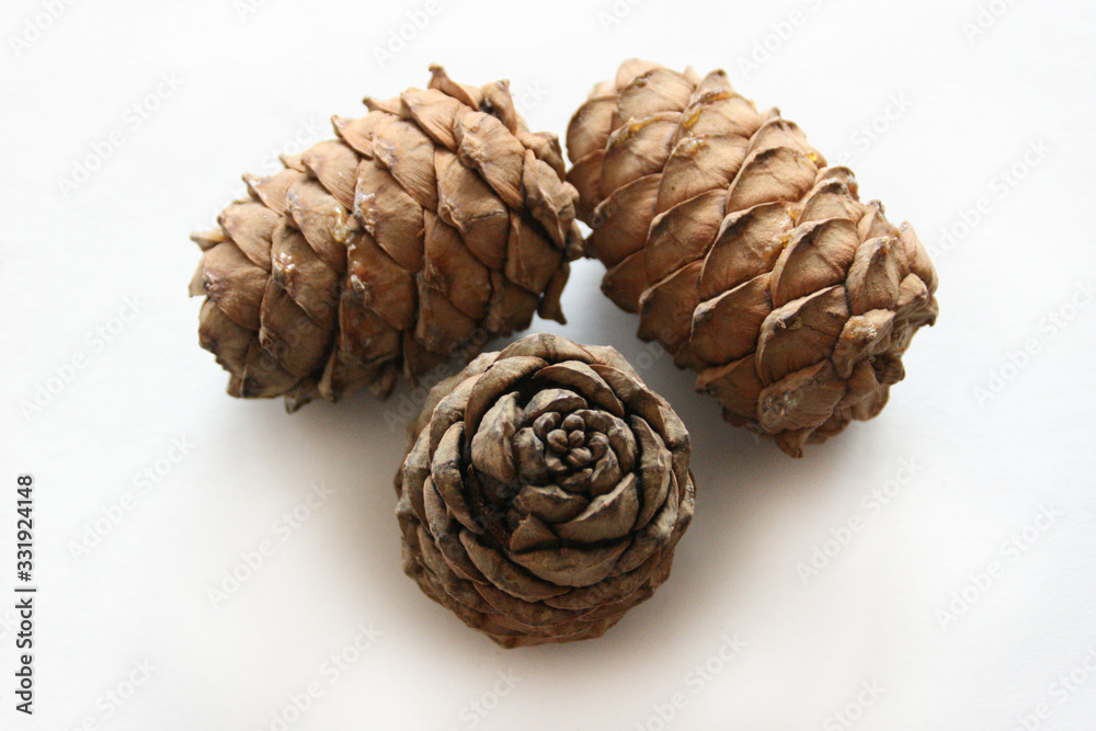 Three pinecones on white table Three pinecones on white table