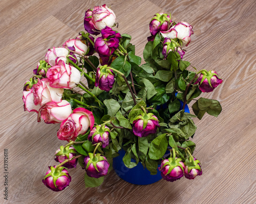 Dry multi-colored roses in a blue bucket or container in front of a light wall. The holiday is over. View from above