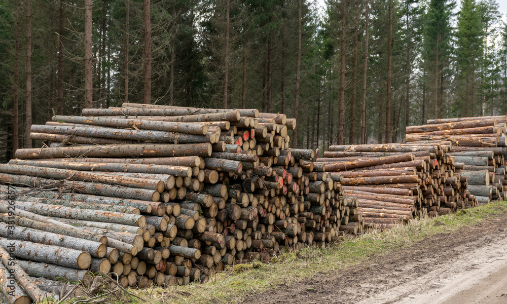 A stack of wooden logs piled on the side of the road