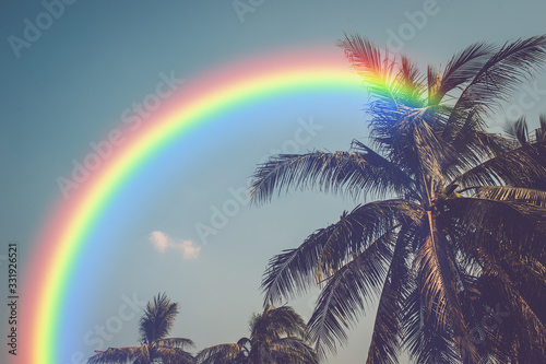 Vintage coconut tree and blue sky with rainbows