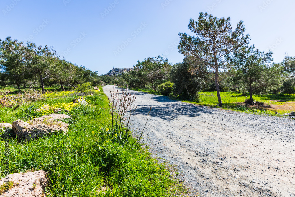 road in the middle of a green field, Ayia Napa, Cyprus. Cape Greko National Park