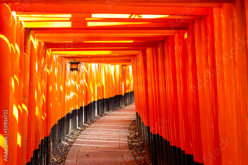 京都伏見稲荷 千本鳥居