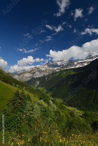 Swiss mountain landscape with green meadows and massive mountains with a blue sky and white clouds
