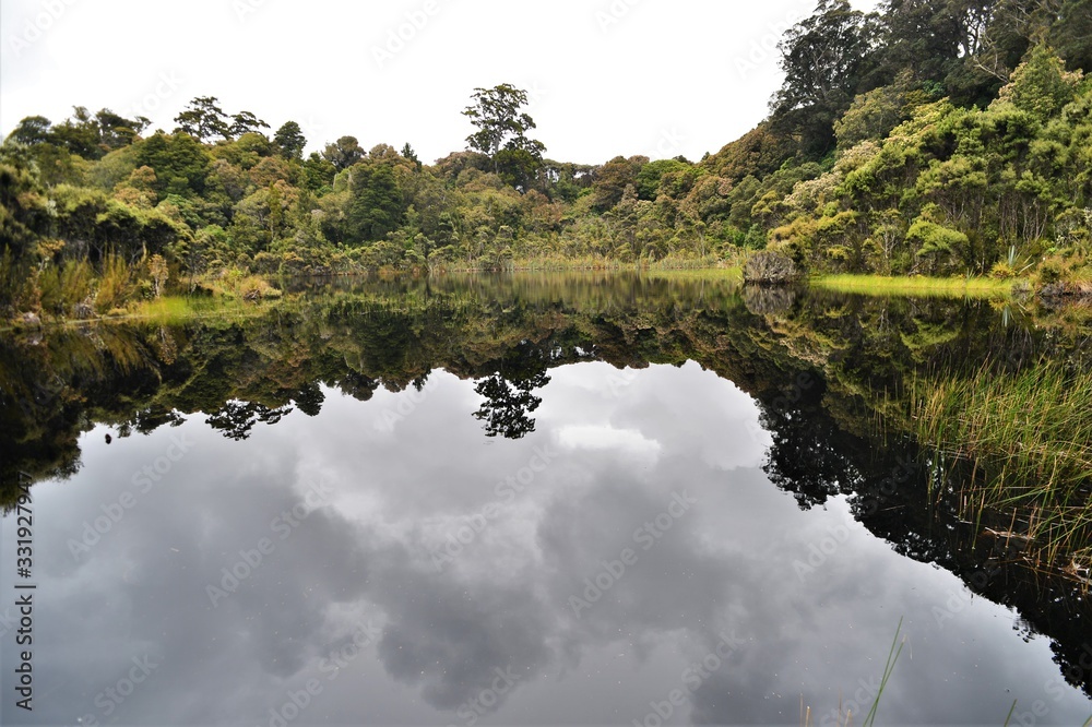 Obraz premium Mirror lake in the New Zealand jungle