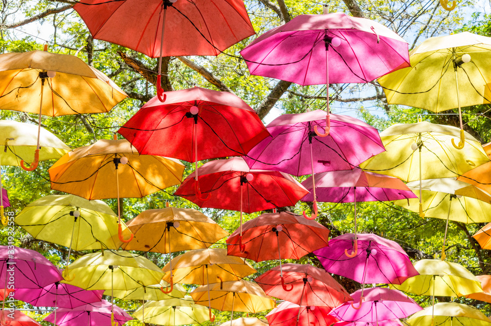 Colorful umbrellas hanging on tree