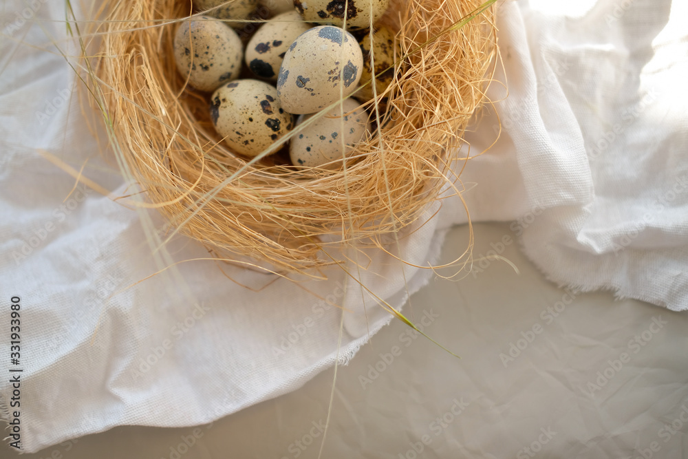 Obraz premium Easter. Quail eggs in the nest.