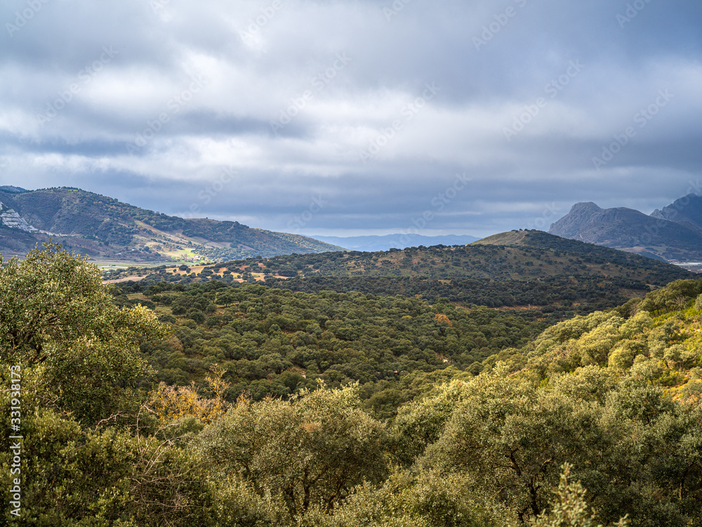 Landscape of a fertile valley in Spain