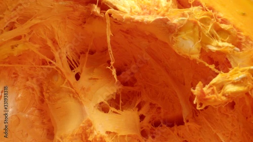 Inside of Pumpkin in Extreme Close Up