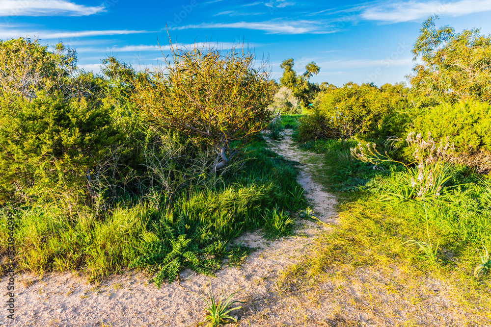 Naklejka premium walking path between the beaches of Protaras, Cyprus