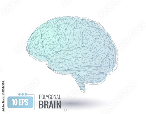 Stylized polygonal brain illustration