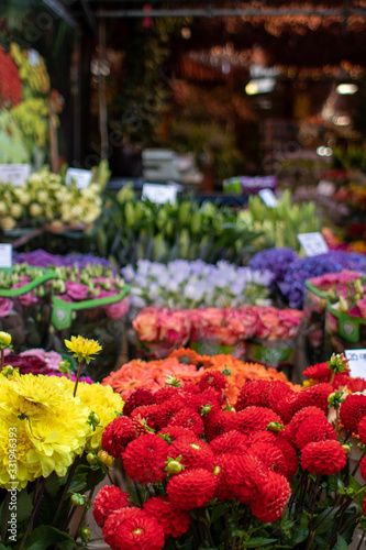 mercado de flores © coral