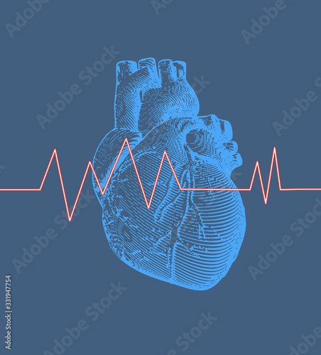 Human heart with heart rate illustration on blue BG