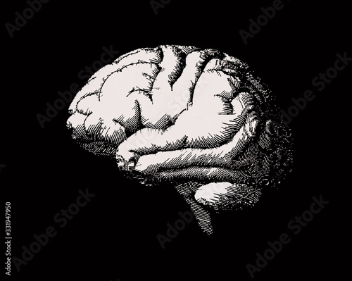 Engraving brain side view illustration on black BG