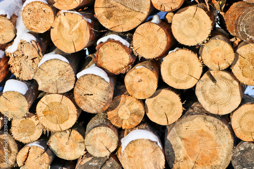 Sawn logs for firewood. A stack of logs. Sectional trees are tree rings. Natural background  wood texture.