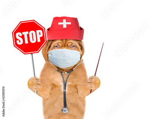 Puppy wearing like a doctor with medical mask and hat shows stop sign and points away on empty space. Isolated on white background © Ermolaev Alexandr