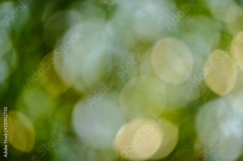 wihite bokeh background. Blurred bokeh in nature.