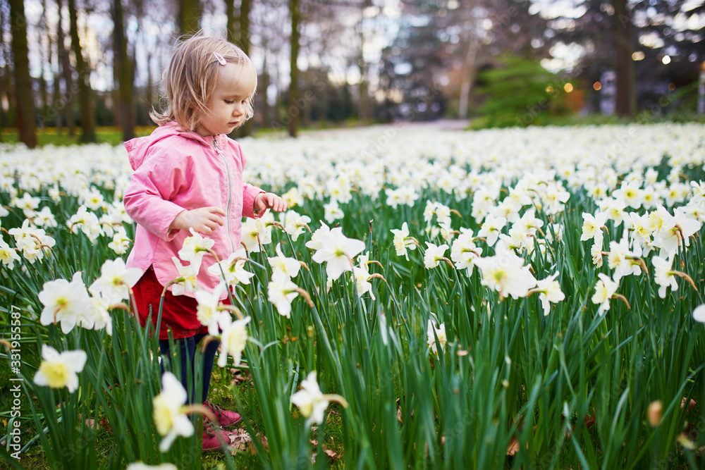 Adorable toddler girl walking in the field with blooming jonquils Adorable toddler girl walking in the field with blooming jonquils