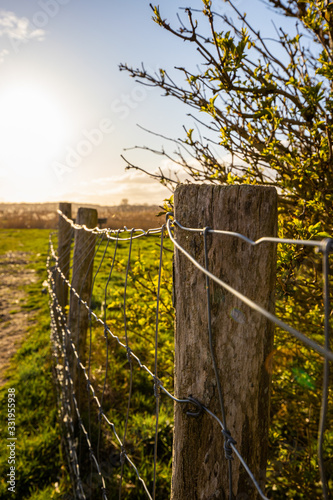 fence in Netherland at sunset