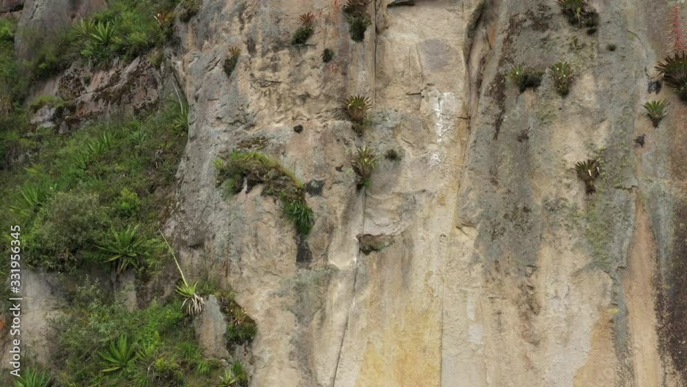 Slowly circeling around a large cliff that contains bromelias in flower and other trees and grasses
Slowly circeling around a large cliff that contains bromelias in flower and other trees and grasses